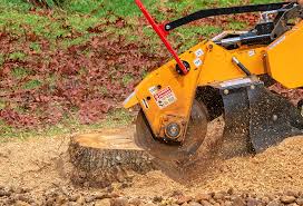 Best Weed Control  in Sewalls Point, FL